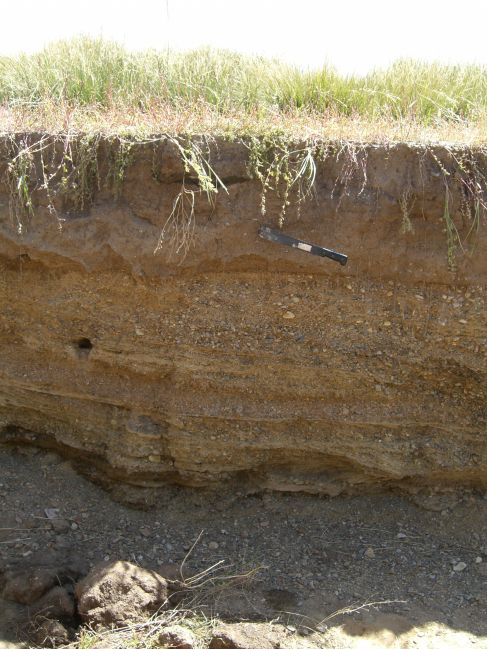  2006:09:11 00:52:46   NE BeachRdg1 - E side of gully - colluvium over matrix-supported cgl.jpg